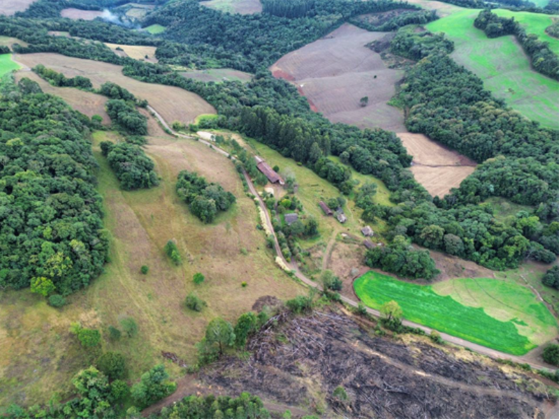 Terreno (foto 6 de 26)