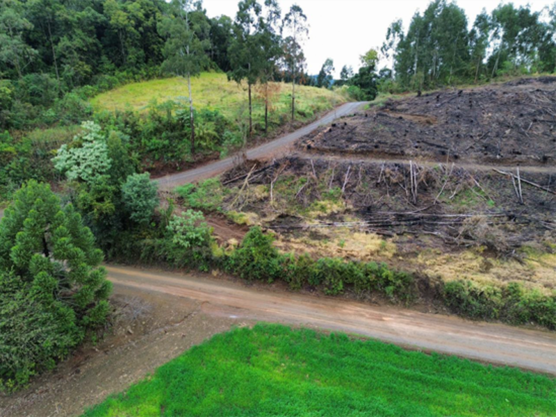 Terreno (foto 7 de 26)