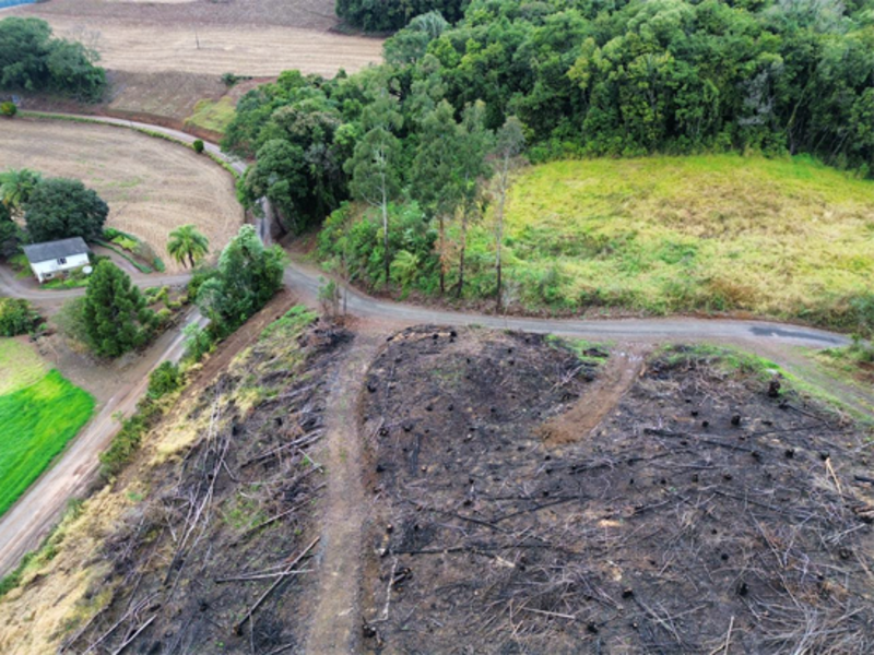 Terreno (foto 11 de 26)