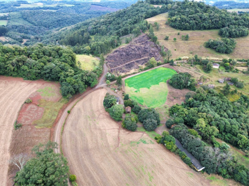 Terreno (foto 10 de 26)