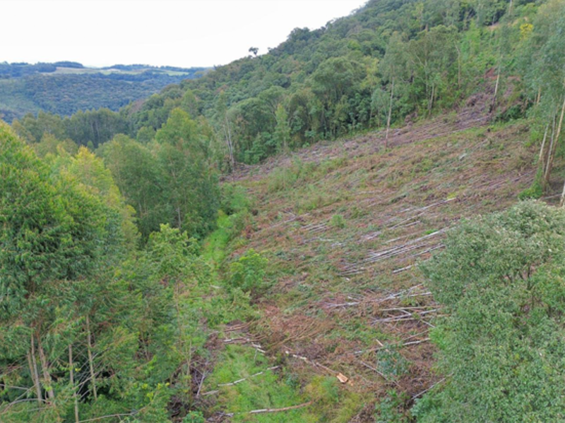 Terreno (foto 15 de 26)