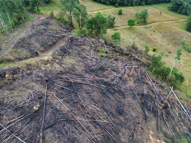 Terreno (foto 16 de 26)