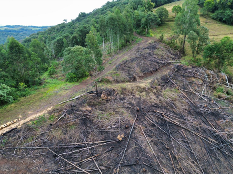 Terreno (foto 18 de 26)
