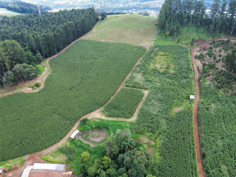 Imagem do imóvel Terreno - Jaborá - SC