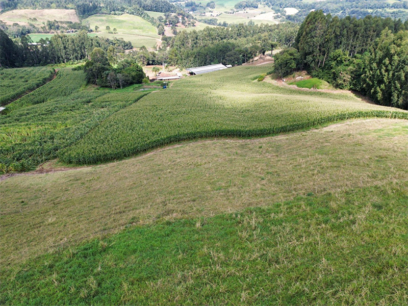 Terreno no Vertes do Córrego da Onça (foto 8 de 11)