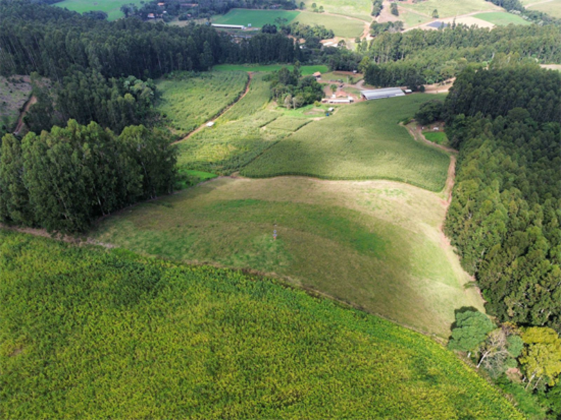 Terreno no Vertes do Córrego da Onça (foto 3 de 11)