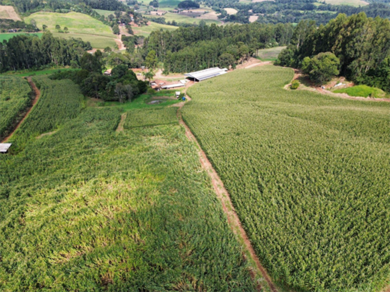 Terreno no Vertes do Córrego da Onça (foto 5 de 11)