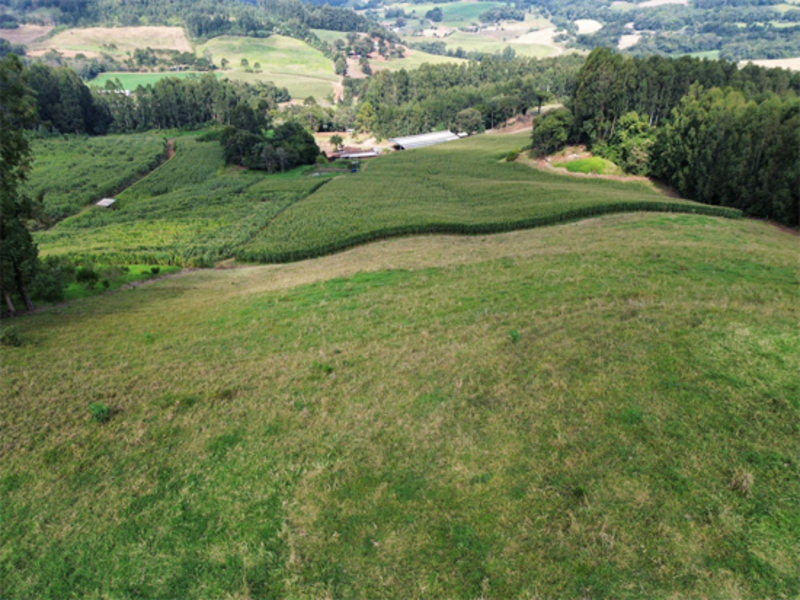 Terreno no Vertes do Córrego da Onça (foto 11 de 11)