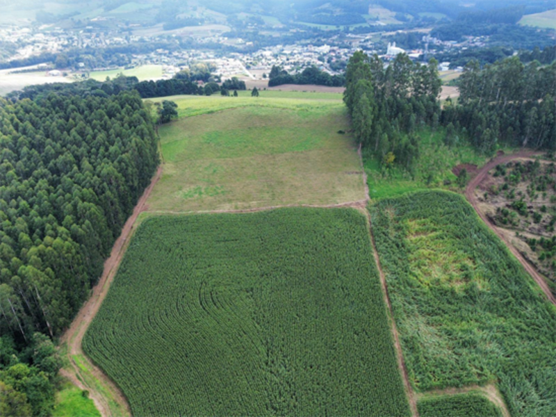 Terreno no Vertes do Córrego da Onça (foto 9 de 11)