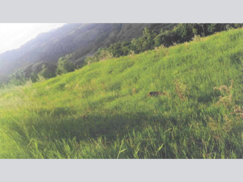 Imagem do imóvel Terreno - Itá - SC