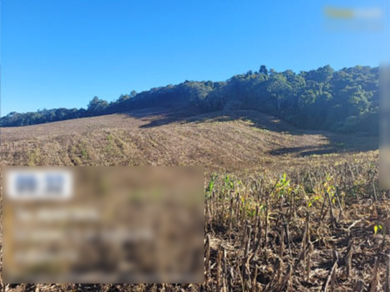 Terreno (foto 9 de 12)