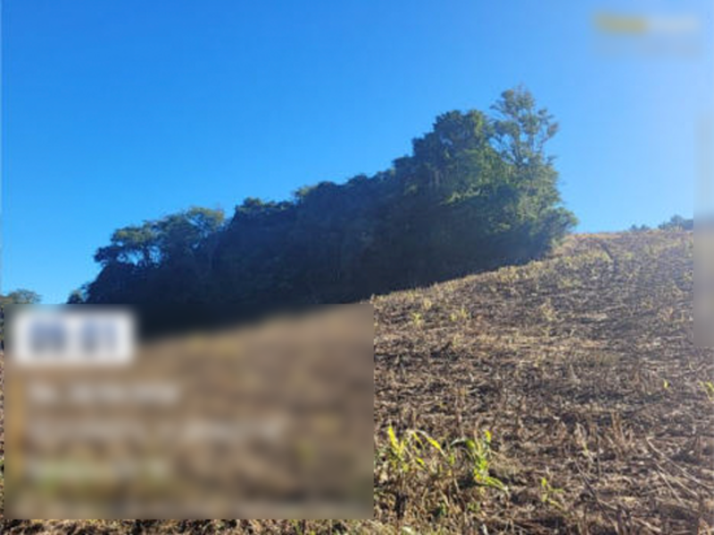 Terreno (foto 2 de 12)