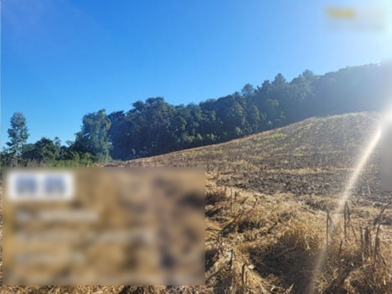 Terreno (foto 4 de 12)