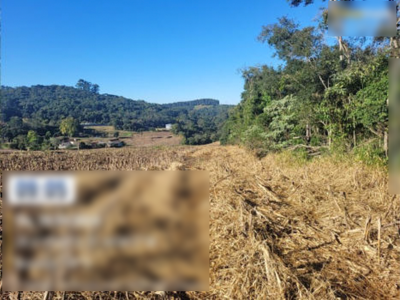 Terreno (foto 6 de 12)