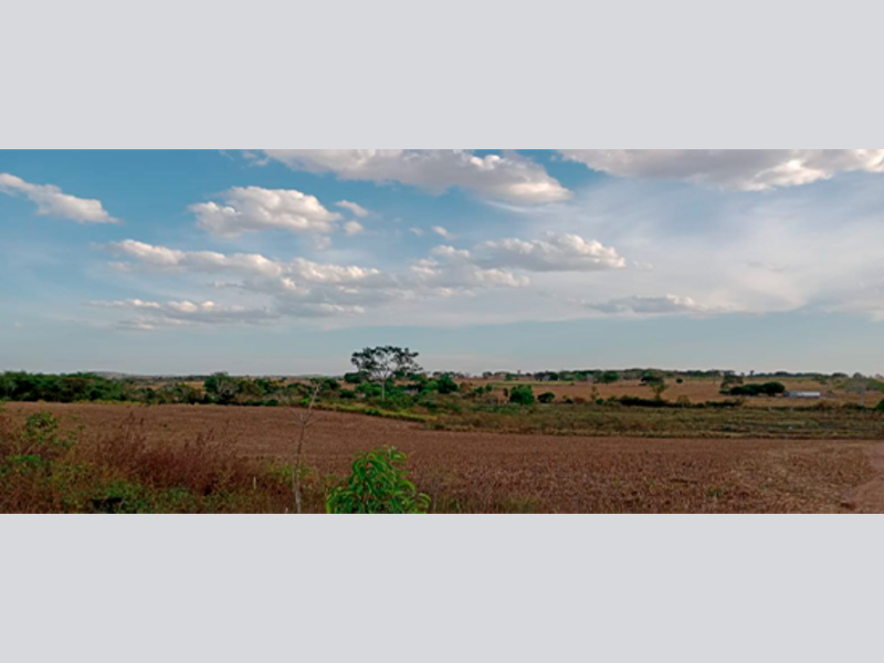 Terreno no Nova Brasília (foto 4 de 4)