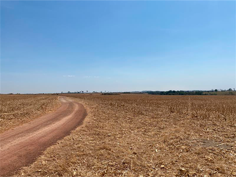 Terreno no Nova Brasília (foto 5 de 8)
