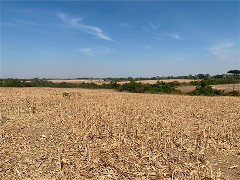 Terreno no Nova Brasília (foto 4 de 8)