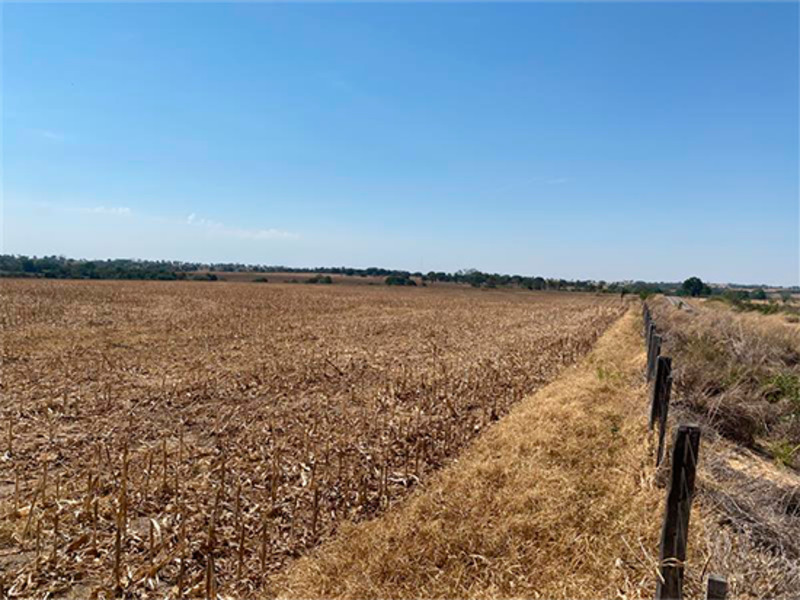 Terreno no Nova Brasília (foto 6 de 8)