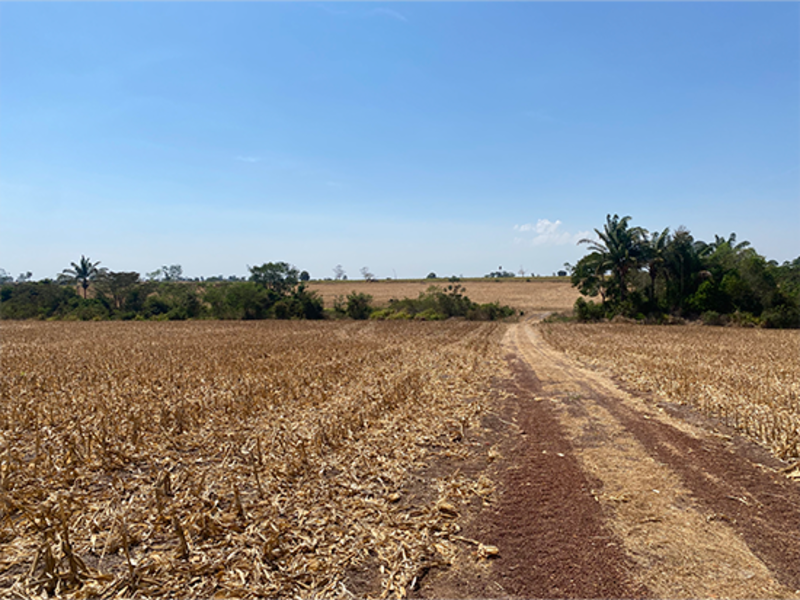 Terreno no Nova Brasília (foto 7 de 8)