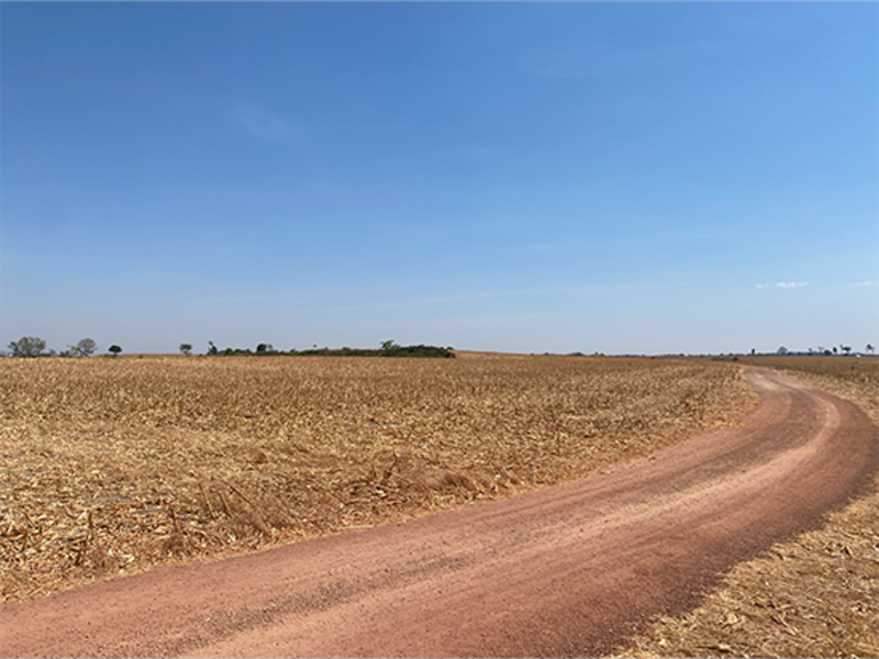 Terreno no Nova Brasília (foto 8 de 8)