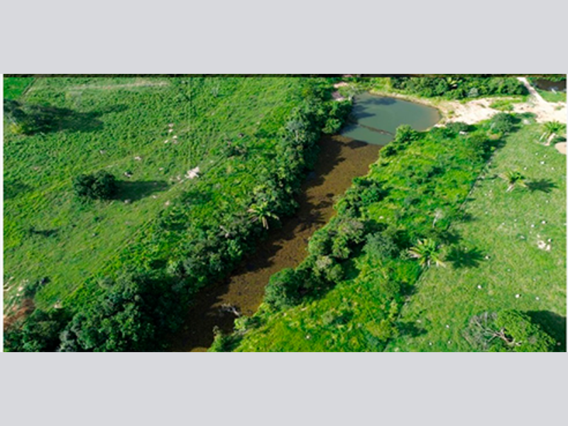 Terreno no Nova Brasília (foto 14 de 14)