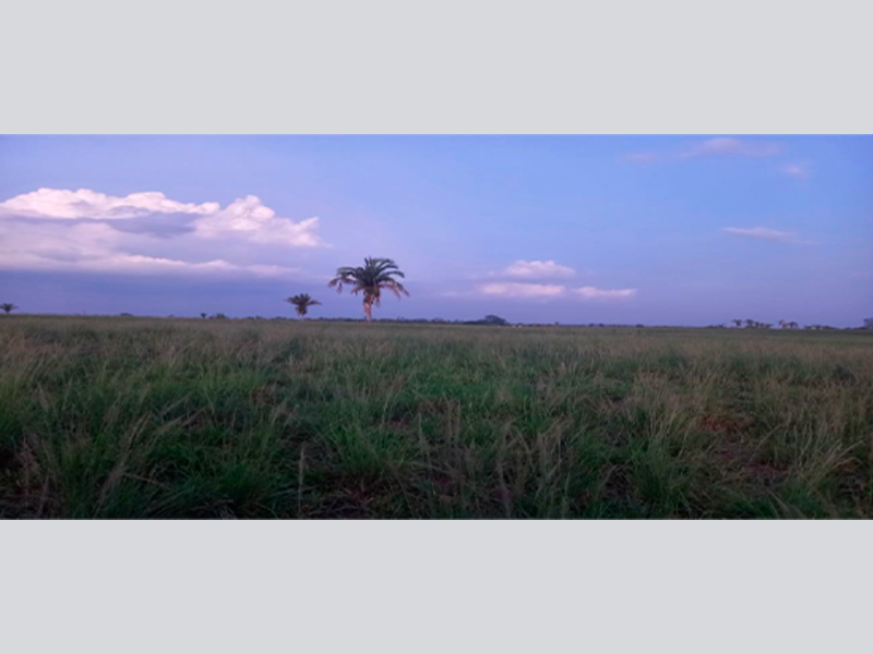 Terreno no Nova Brasília em Itupiranga/PA — foto 1