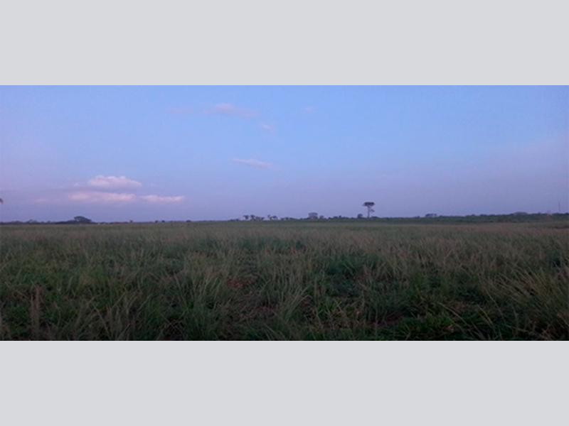 Terreno no Nova Brasília (foto 6 de 6)