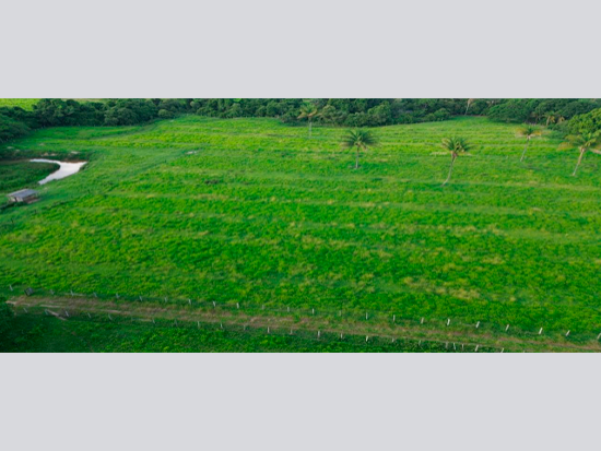 Imóvel rural em leilão em Nova Santa Helena