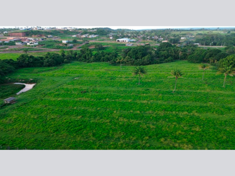 Terreno no Nova Brasília (foto 4 de 8)