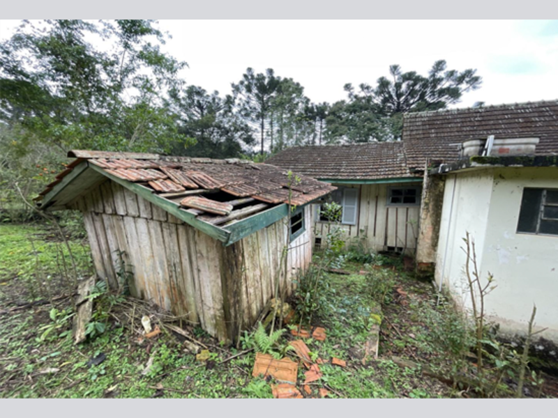 Terreno no Serra dos Nogueiras (foto 6 de 6)