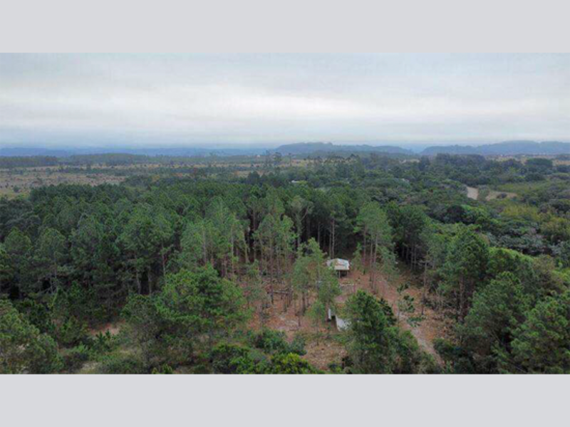 Imagem do imóvel Terreno - Torres - RS
