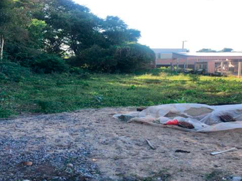 Terreno no Centro Norte em Fazenda Vilanova/RS — foto 1