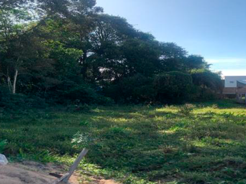 Terreno no Centro Norte (foto 6 de 8)