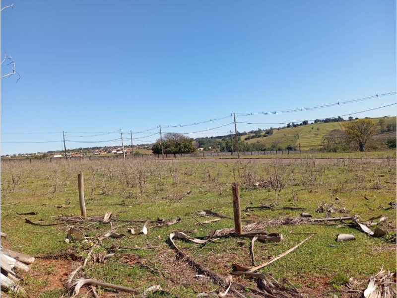 Terreno no Perola (foto 20 de 35)