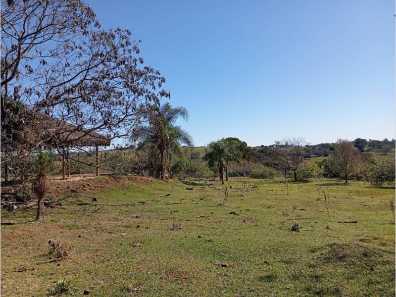 Terreno no Perola (foto 25 de 35)