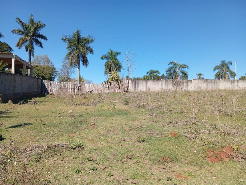 Terreno no Perola (foto 22 de 35)