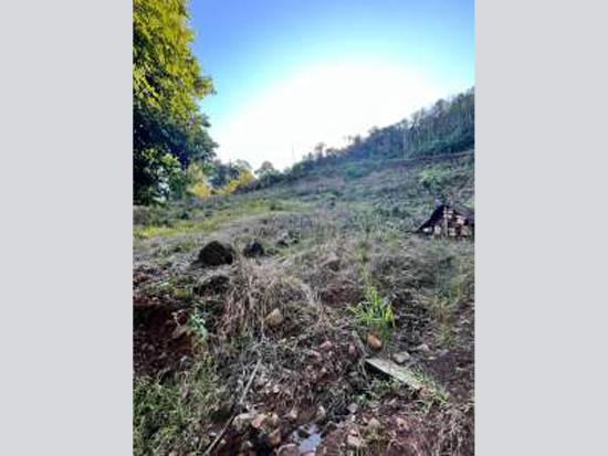 Terreno - Riozinho - RS