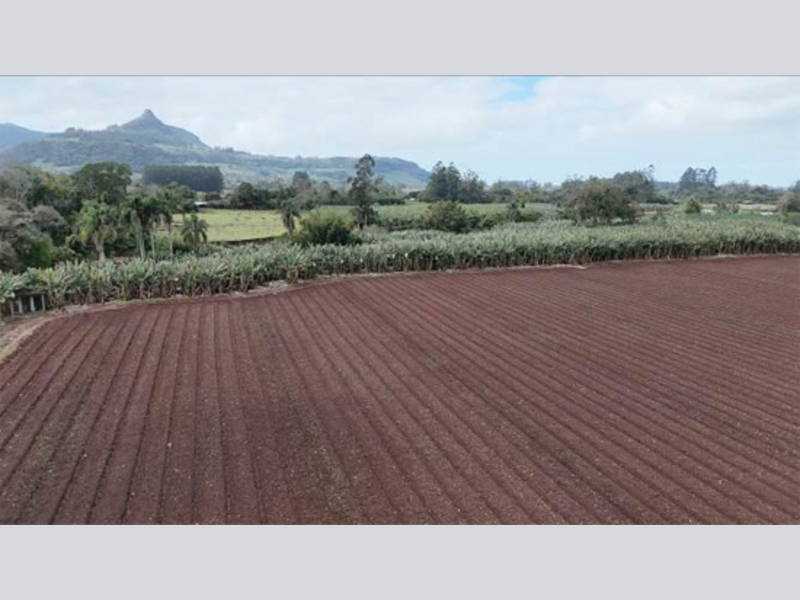 Imagem do imóvel Terreno - Osório - RS