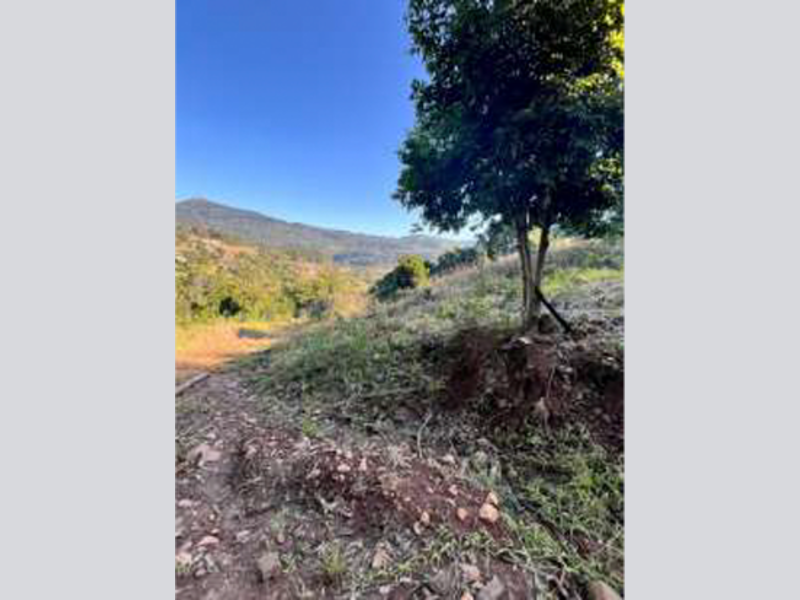 Imagem do imóvel Terreno - Riozinho - RS