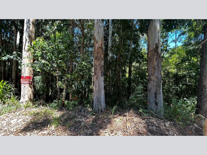 Imagem do imóvel Terreno - Riozinho - RS