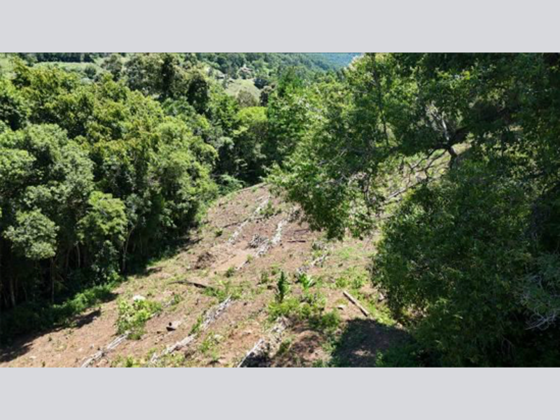 Terreno (foto 15 de 20)