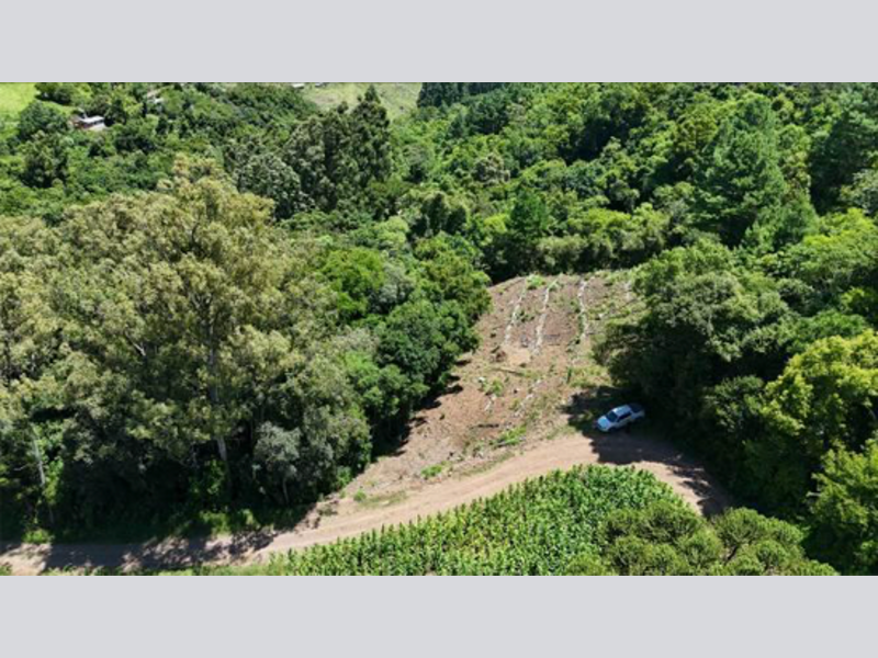 Terreno (foto 17 de 20)